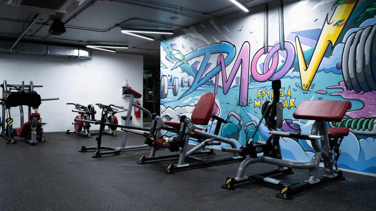 Imagen de galería