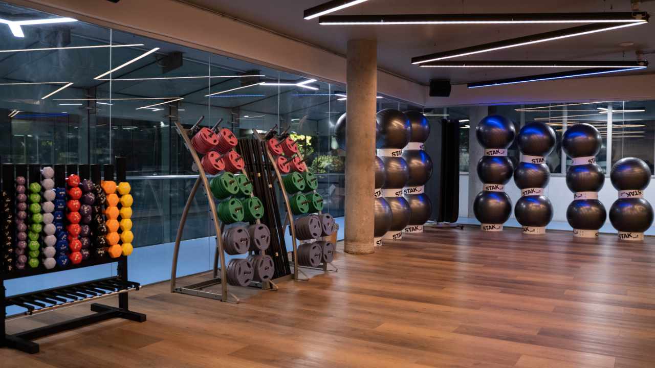 Imagen de galería